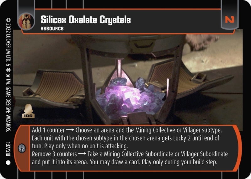 Silicax Oxalate Crystals
